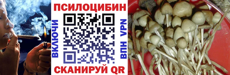 Псилоцибиновые грибы Cubensis  Волхов 